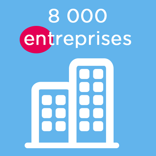 Nombre d'entreprises : 8000