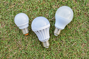 Ampoules LED