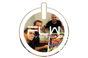 FLW SYSTEM