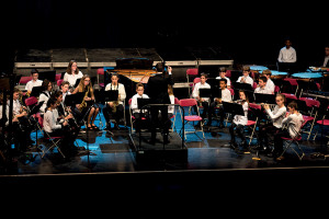 Orchestre à cordes et a vents