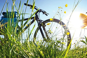 Vélo