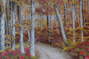 Peinture, arbres dans une forêt