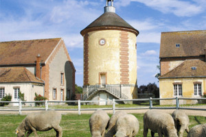 Bergerie nationale