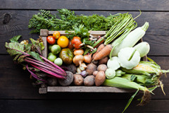 Legumes